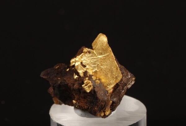 crystallized-gold-limonite-1850306685