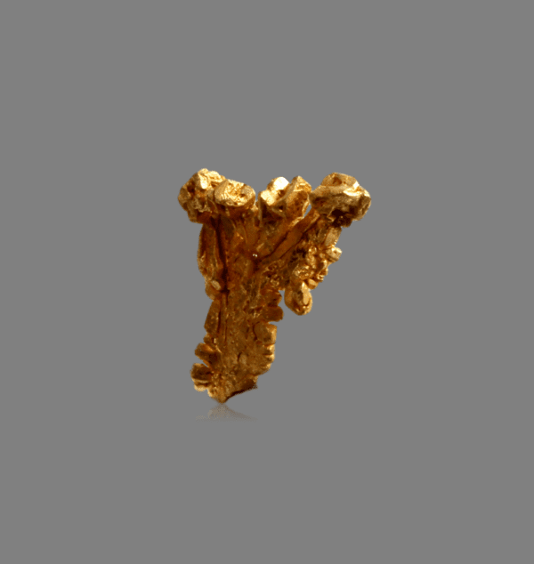 crystallized-gold-1859342908