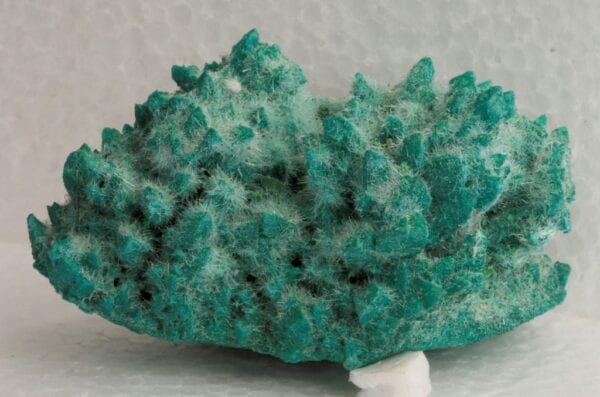 kobyashevite-selenite-calcite-130061671